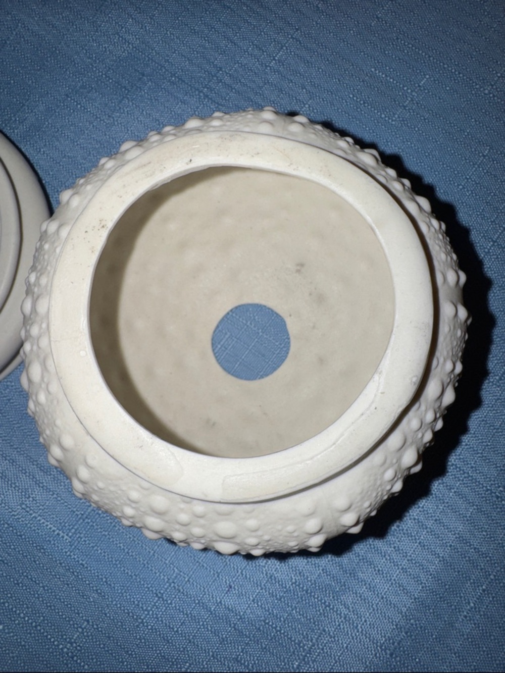 Margaret Furlong SEA URCHIN Tea Light, 2 Piece, Bisque Ivory Textured 3.5" - Picture 3 of 7